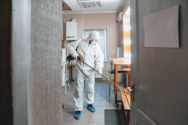 Best Asbestos and Lead Testing During Mold Inspection  in Ludington, MI