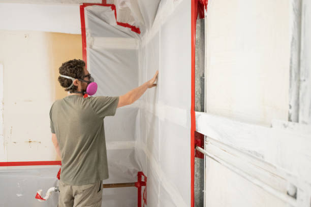 Best Mold Odor Removal Services  in Ludington, MI