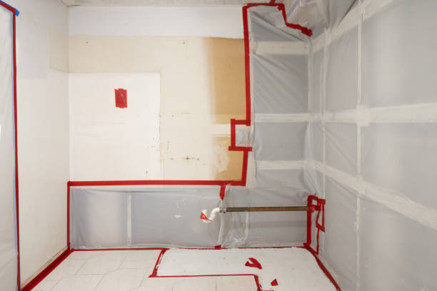 Best Post-Remediation Verification Testing  in Ludington, MI
