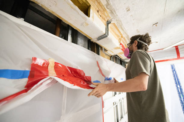 Best Black Mold Removal  in Ludington, MI