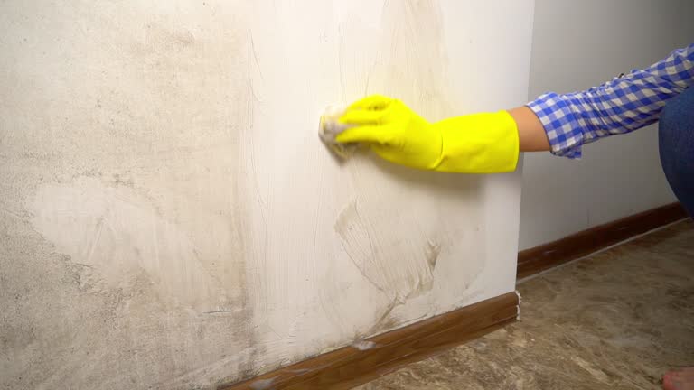 Best Environmental Consulting for Mold Prevention  in Ludington, MI