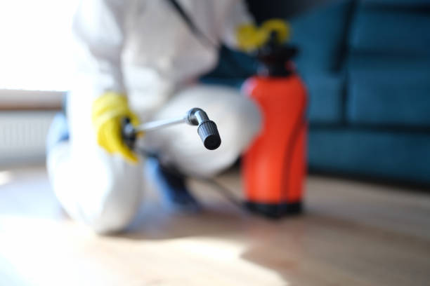 Best Mold Removal for HVAC Installations  in Ludington, MI