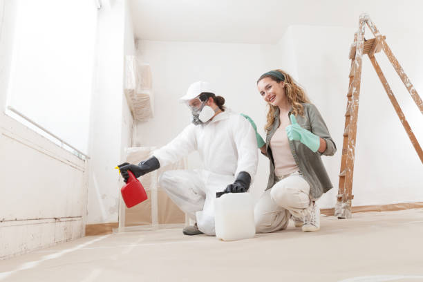 Best Environmental Consulting for Mold Prevention  in Ludington, MI