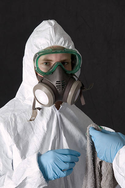 Environmental Consulting for Mold Prevention in Ludington, MI